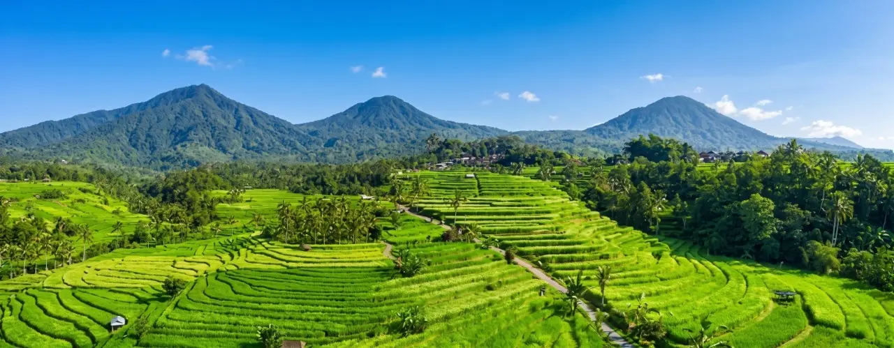Indonesia
